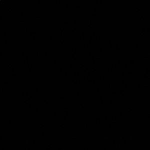 Meet your Posher, Isabella